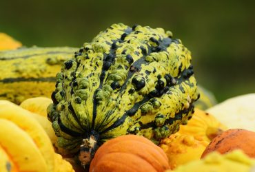 Grillet squash med honning kanel krydderier og honning i Airfryer opskrift